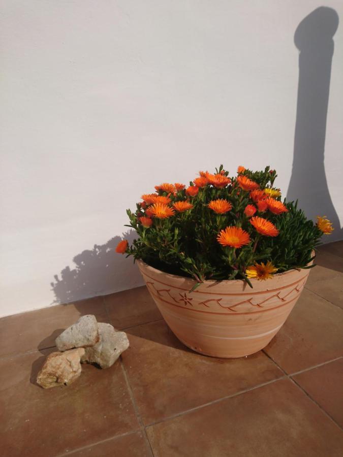 Disfruta Rafelcofer Exterior foto